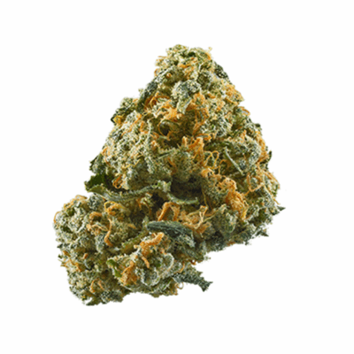 Close-up of a high-quality Lights Out THC: 17%-23% cannabis flower. This meticulously cultivated bud showcases vibrant colors and abundant trichomes.