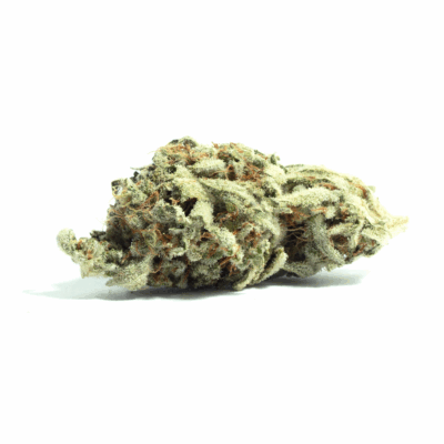 Close-up of Hawaiian Snow cannabis flower. THC: 17%-23%. Shows the trichome covered bud. Premium cannabis, cultivated for quality and potency.