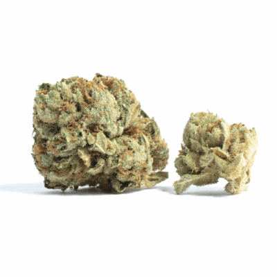 Close-up of two Sweet Jesus THC: 17%-23% cannabis buds showing detailed trichomes and texture. Premium quality flower.