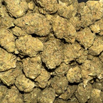 God Kush THC: 14%-16%