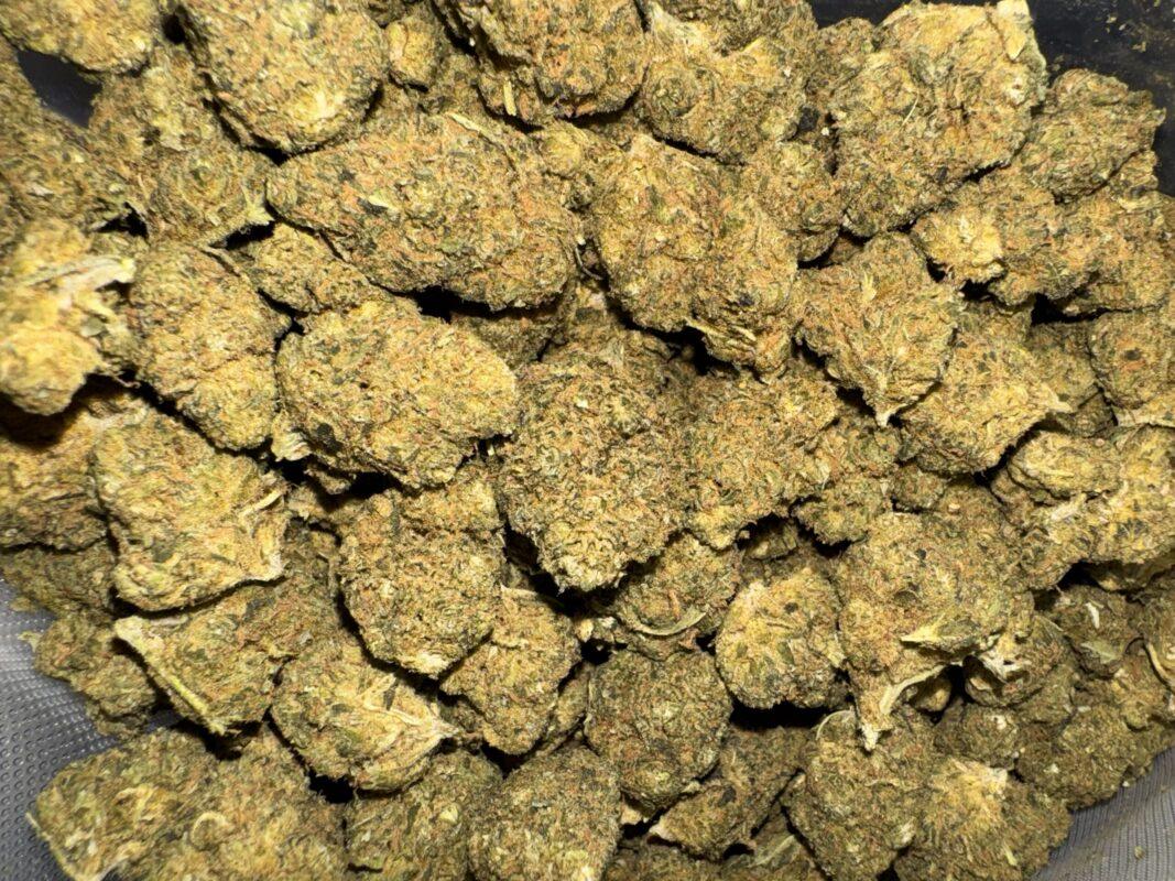God Kush THC: 14%-16%