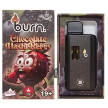 Burn – Chocolate HashBerry - 3g Disposable Vape (Indica)