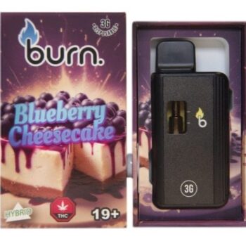 Burn – Blueberry Cheesecake - 3g Disposable Vape (Hybrid)