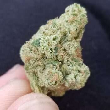 Apple Juice cannabis bud
