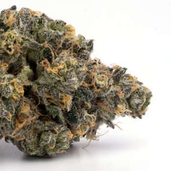 Blackberry Kush AAA indica flower bud