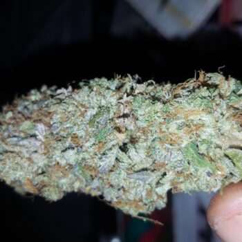 Death Bubba cannabis bud