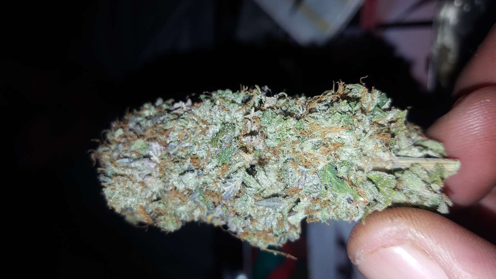 Death Bubba cannabis bud