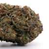 Northern Lights AAA indica flower bud