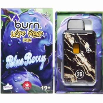 Burn 2G Live Resin FSE Disposable - Blueberry