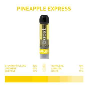 Boost Distillate Cart - Pineapple Express 1G featuring vibrant yellow packaging and detailed terpene profile.