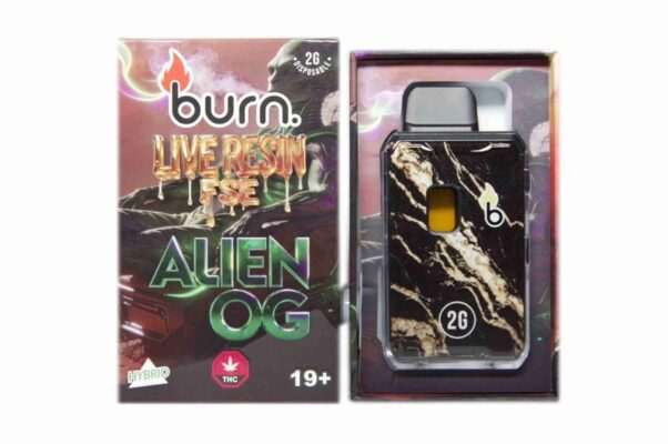 Burn 2G Live Resin FSE Disposable Vape – Alien OG (H)