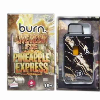 Burn 2G Live Resin FSE Disposable Vape - Pineapple Express (S)