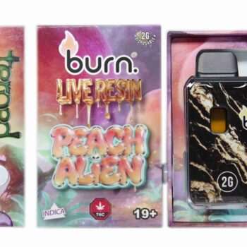 Burn 2G Terp'd Live Resin FSE Disposable Vape - Peach Alien (I)