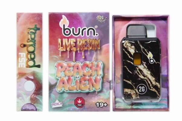 Burn 2G Terp’d Live Resin FSE Disposable Vape – Peach Alien (I)