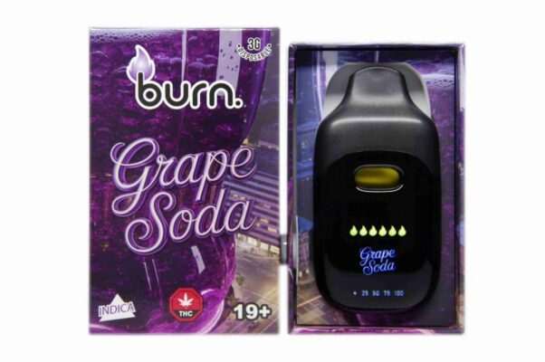 Burn 3G Disposable Vape – Grape Soda (I)