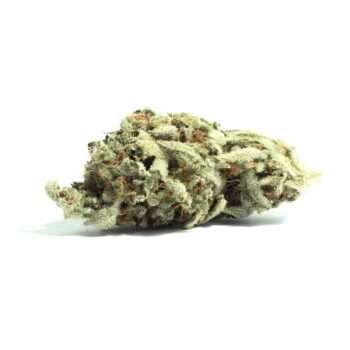 Close-up image of Chocolope cannabis flower, a AA sativa with long airy buds and a THC range of 16%-19%.