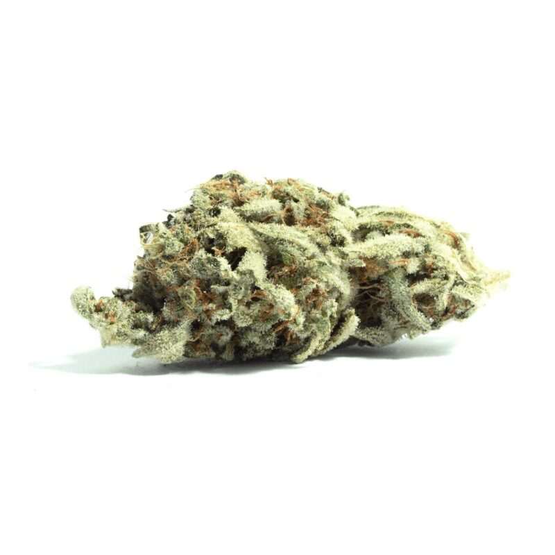 Close-up image of Chocolope cannabis flower, a AA sativa with long airy buds and a THC range of 16%-19%.