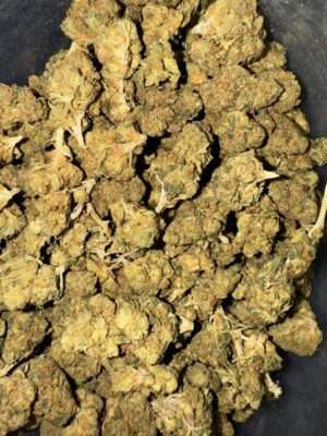 Close-up image of White Widow cannabis flower, a AA hybrid with frosty resin-coated buds and a THC range of 16%-19%.