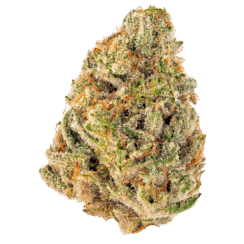 Blackwater THC: 17%-23%