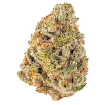 Dantes Inferno THC: 23%-30%