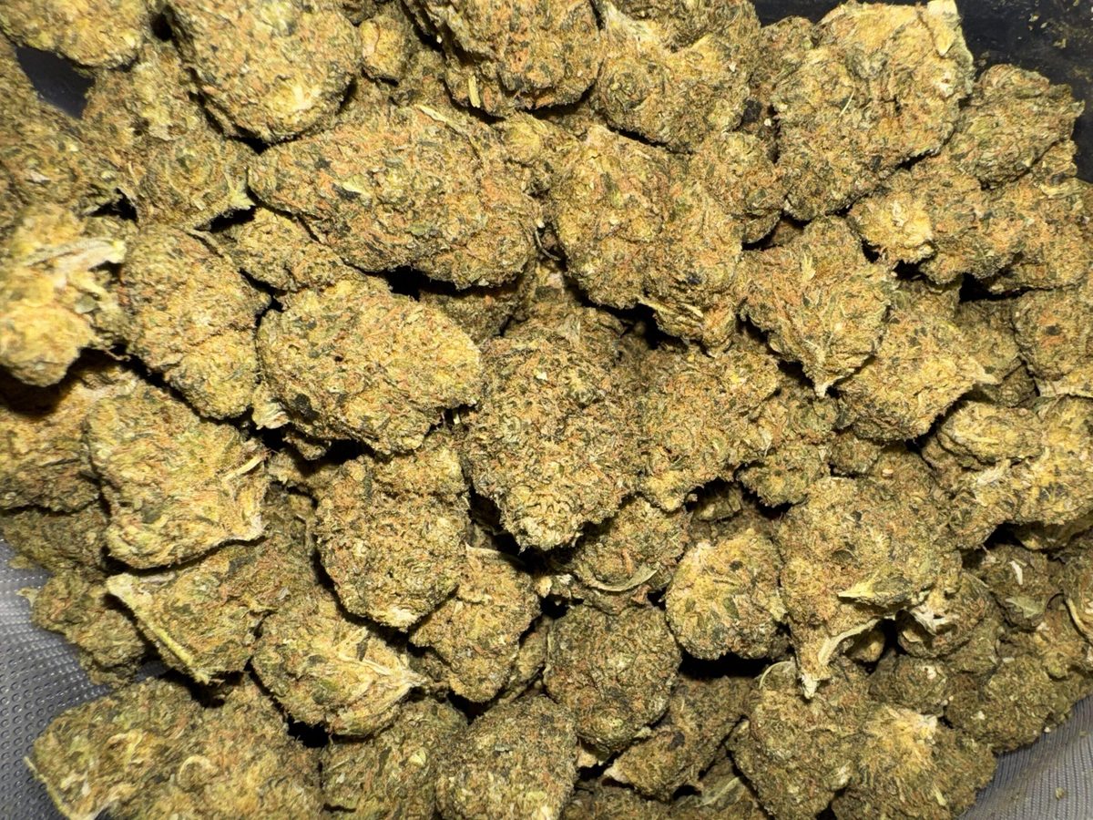 God Kush THC: 14%-16% 3 Close-up of premium God Kush THC: 14%-16% cannabis buds, showcasing their dense structure and rich color profile. High-quality cannabis ready for enjoyment.